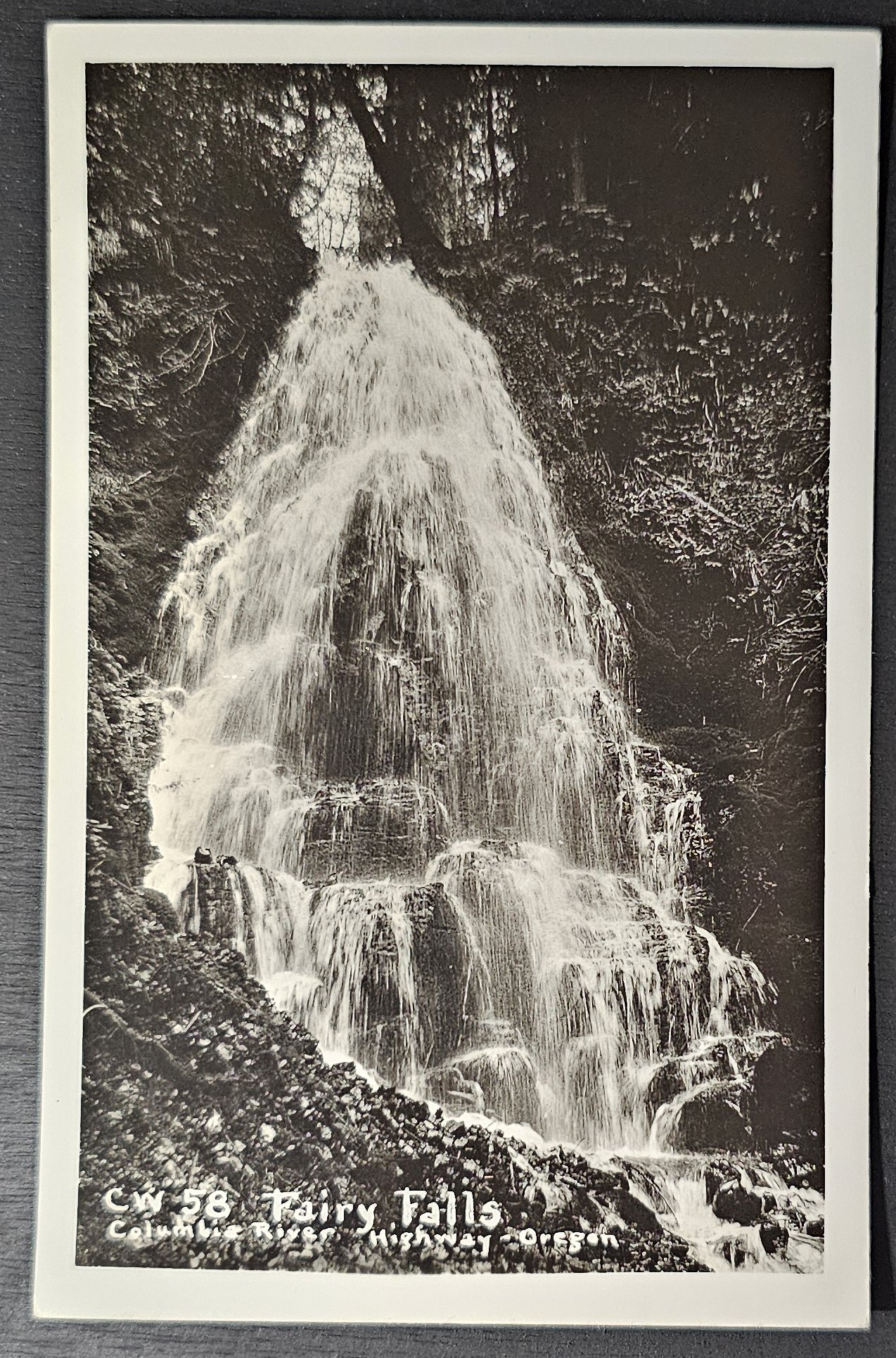 (image for) postcard USA - OR - Oregon #0010